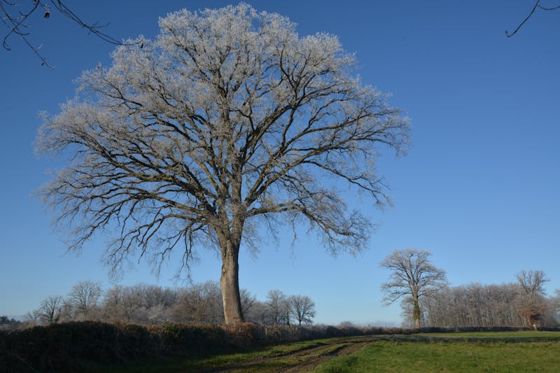 Équilibrage et géométrie des roues 1001pneus