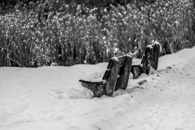 Pneus hiver 1001pneus pour routes enneigées